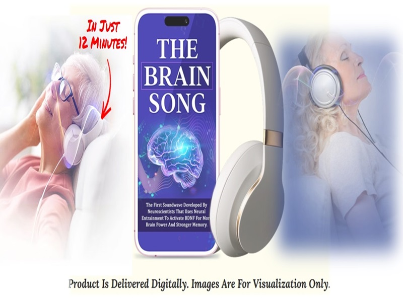 The Brain Song Memory Program